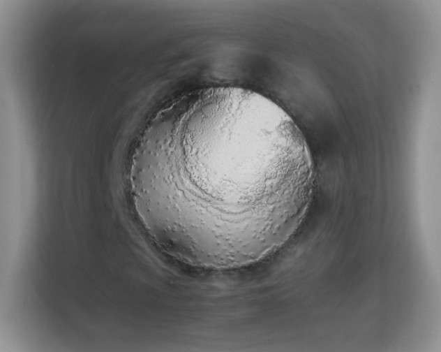 X0000113171009200909111030