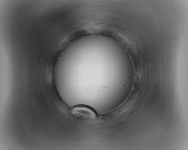 X0000113171012200909111030