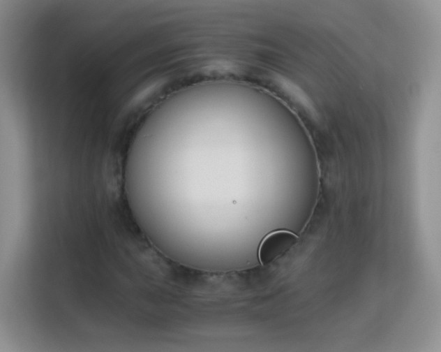 X0000113171015200909111030