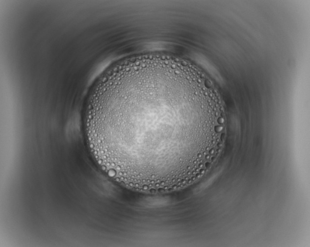 X0000113171023200909111030