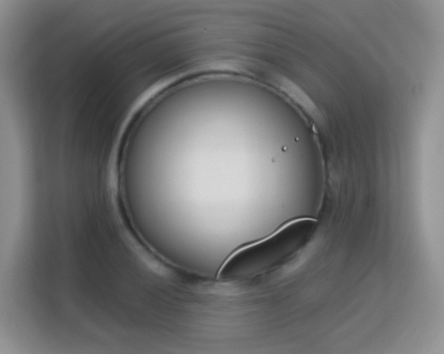 X0000113171028200909111030