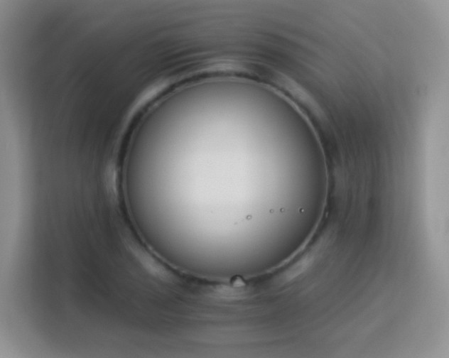 X0000113171029200909111030