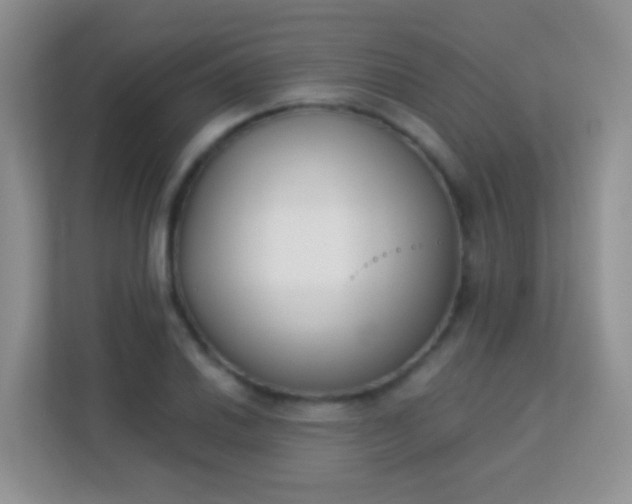 X0000113171030200909111030