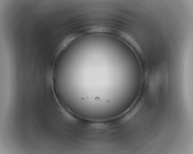 X0000113171033200909111030