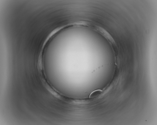 X0000113171036200909111030