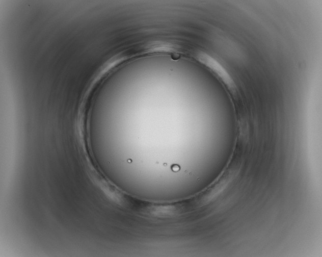 X0000113171043200909111030