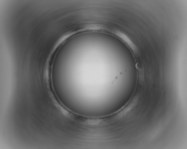 X0000113171046200909111030