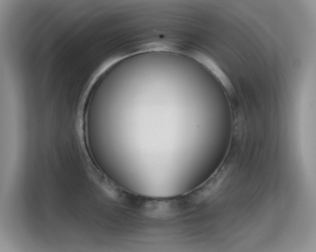 X0000113171051200909111030
