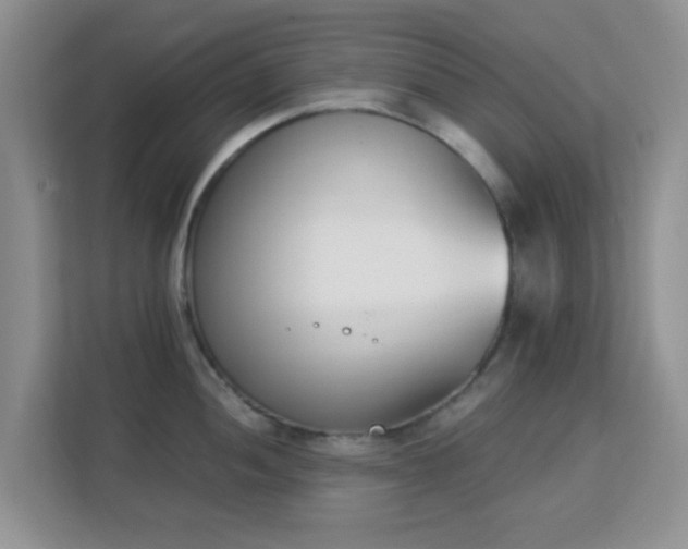 X0000113171052200909111030
