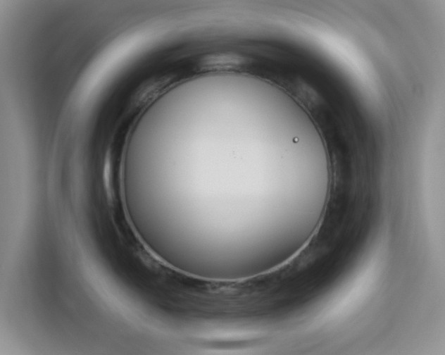 X0000113171054200909111031