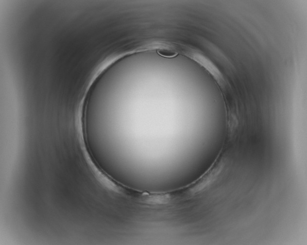 X0000113171055200909111031