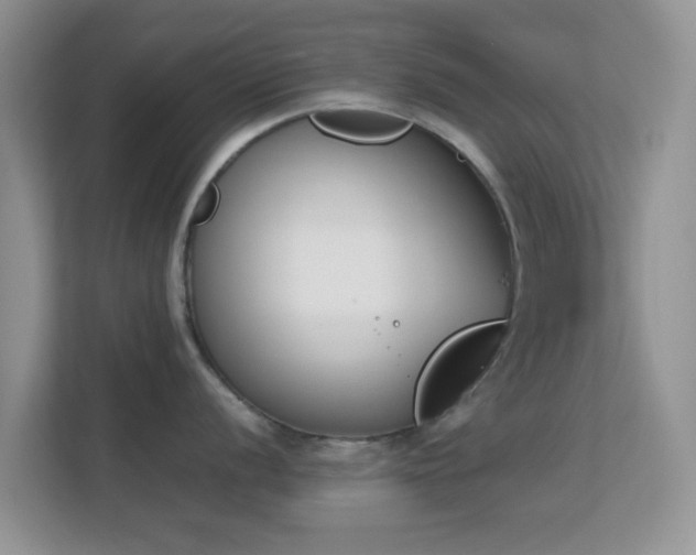 X0000113171056200909111031