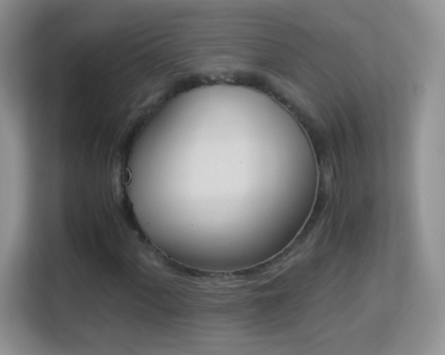 X0000113171060200909111030