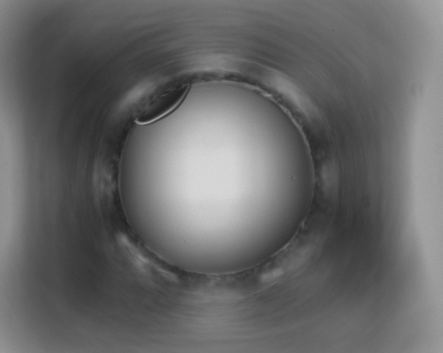X0000113171064200909111030