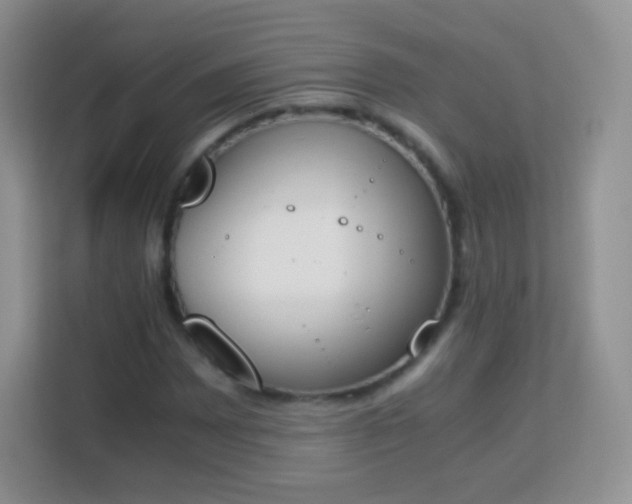 X0000113171065200909111030