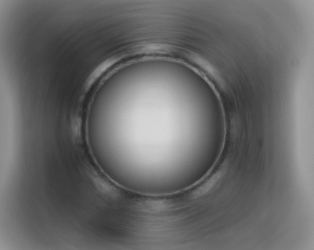 X0000113171066200909111030