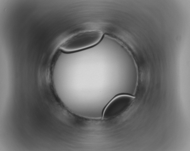 X0000113171069200909111030