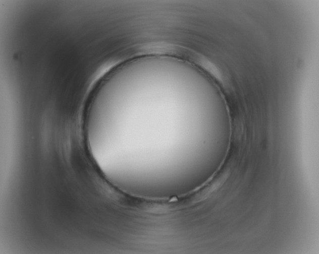 X0000113171071200909111030