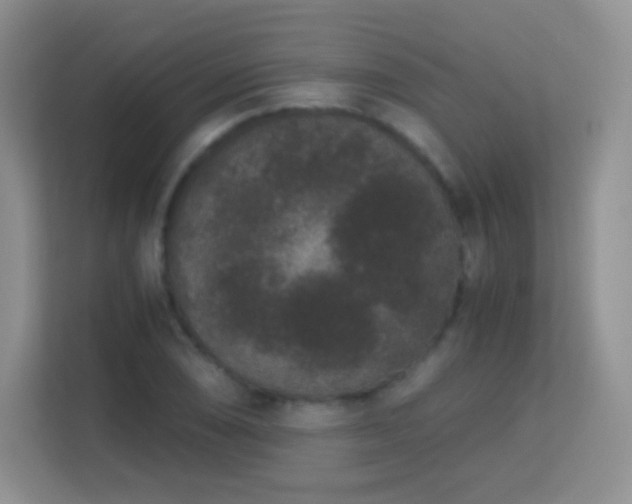 X0000113171074200909111030