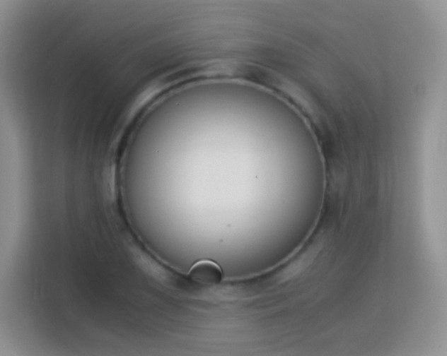 X0000113171075200909111030