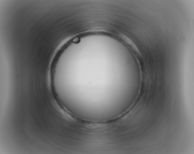 X0000113171076200909111030
