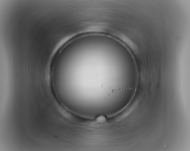 X0000113171077200909111030