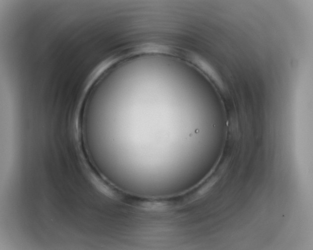 X0000113171082200909111030