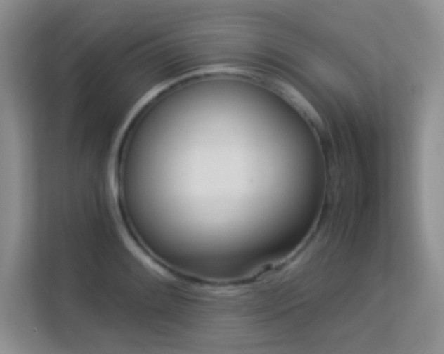 X0000113171084200909111030