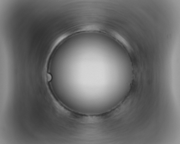 X0000113171087200909111030