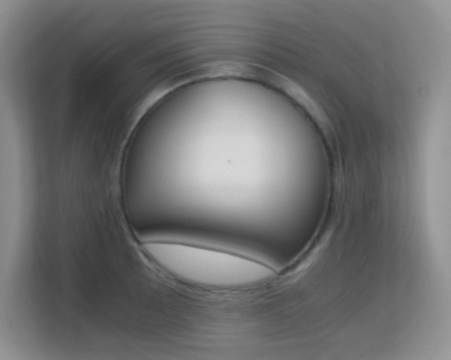 X0000113171089200909111030