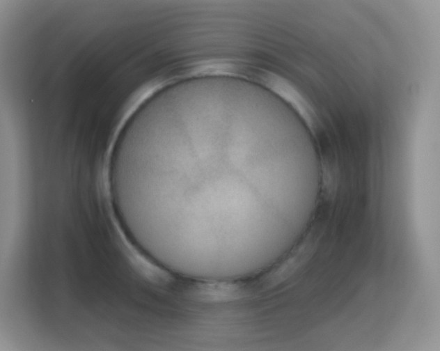 X0000113171090200909111029