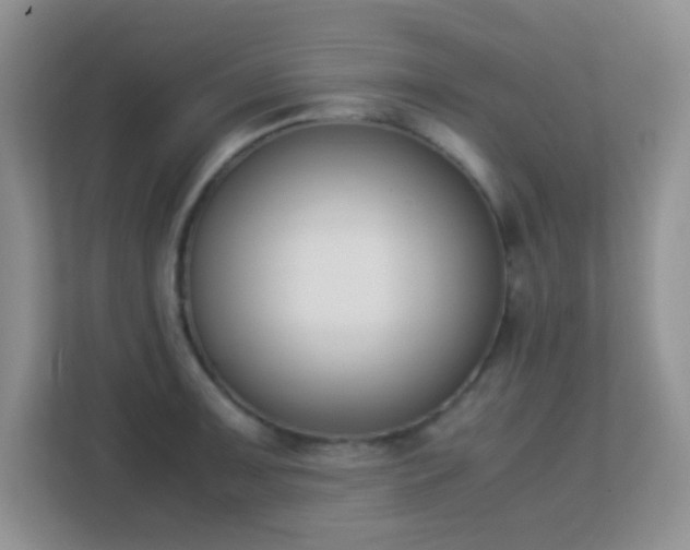 X0000113171091200909111029
