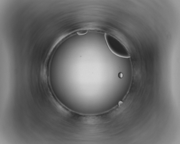 X0000113171092200909111029