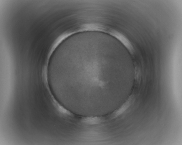 X0000113171094200909111029