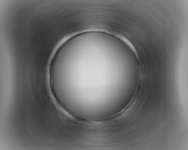 X0000113171096200909111029