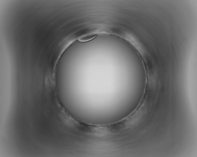 X0000113171097200909111029