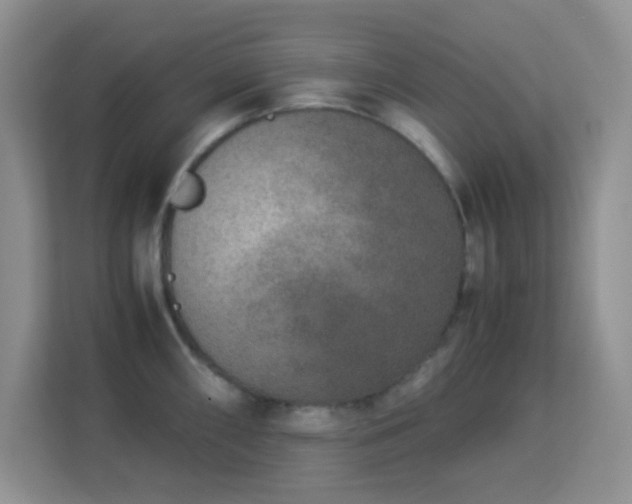 X0000113171098200909111029