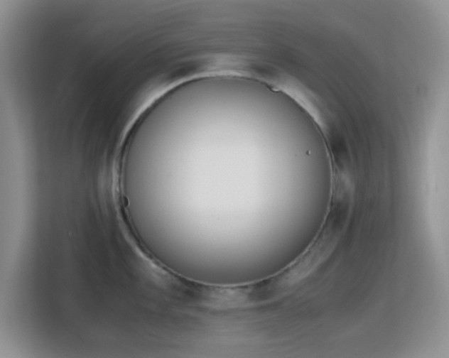 X0000113171101200909111029