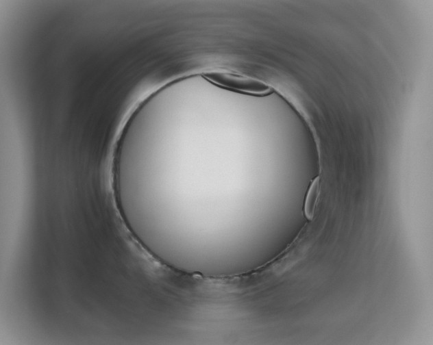 X0000113171104200909111029