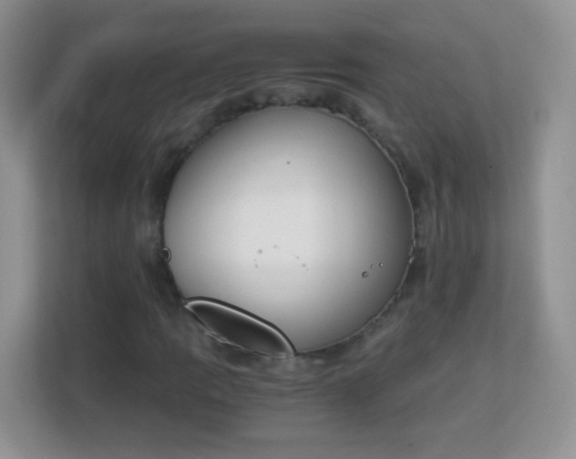 X0000113171109200909111029