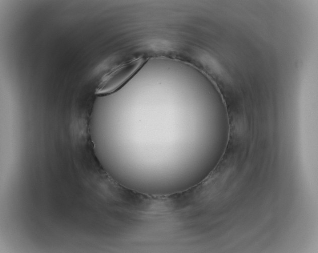 X0000113171110200909111029