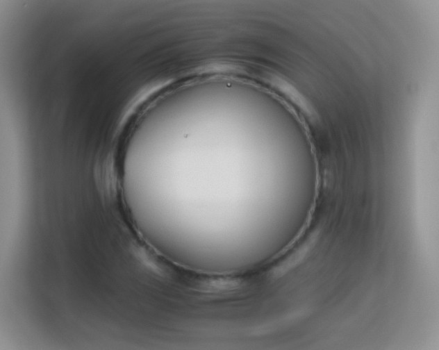 X0000113171117200909111029