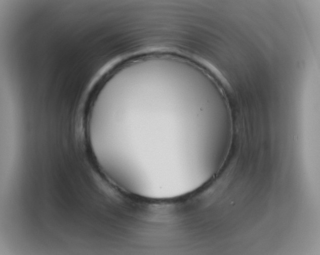 X0000113171118200909111029