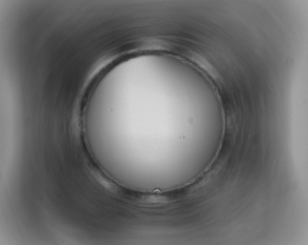 X0000113171119200909111029