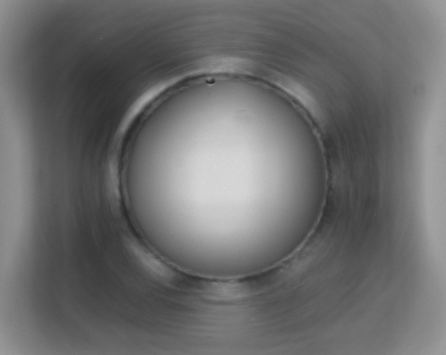 X0000113171120200909111029