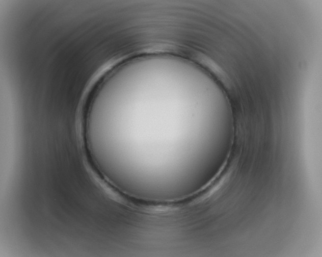 X0000113171122200909111029