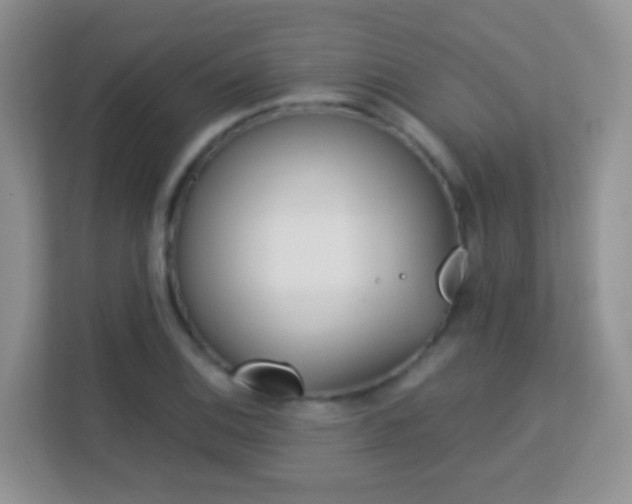 X0000113171124200909111029