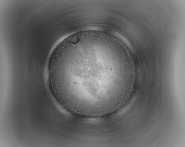 X0000113171125200909111029