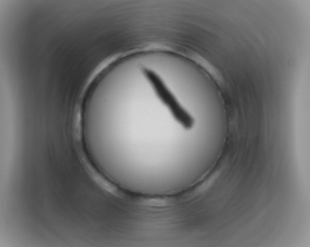 X0000113171126200909111029