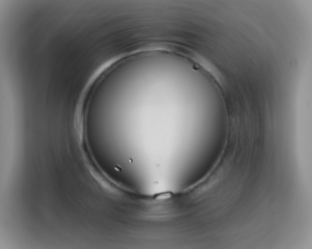 X0000113171127200909111029
